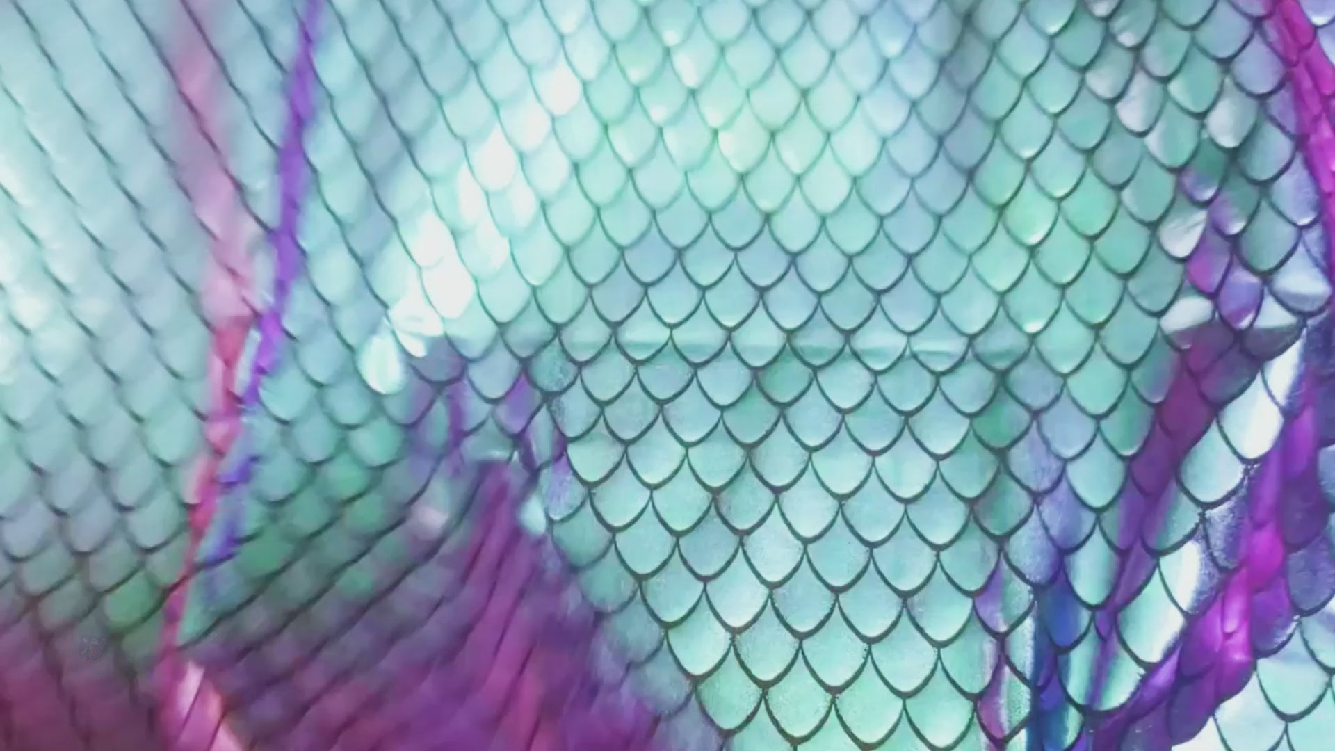 Stretch Fabric, Holographic Dragon Scales, Oil Slick