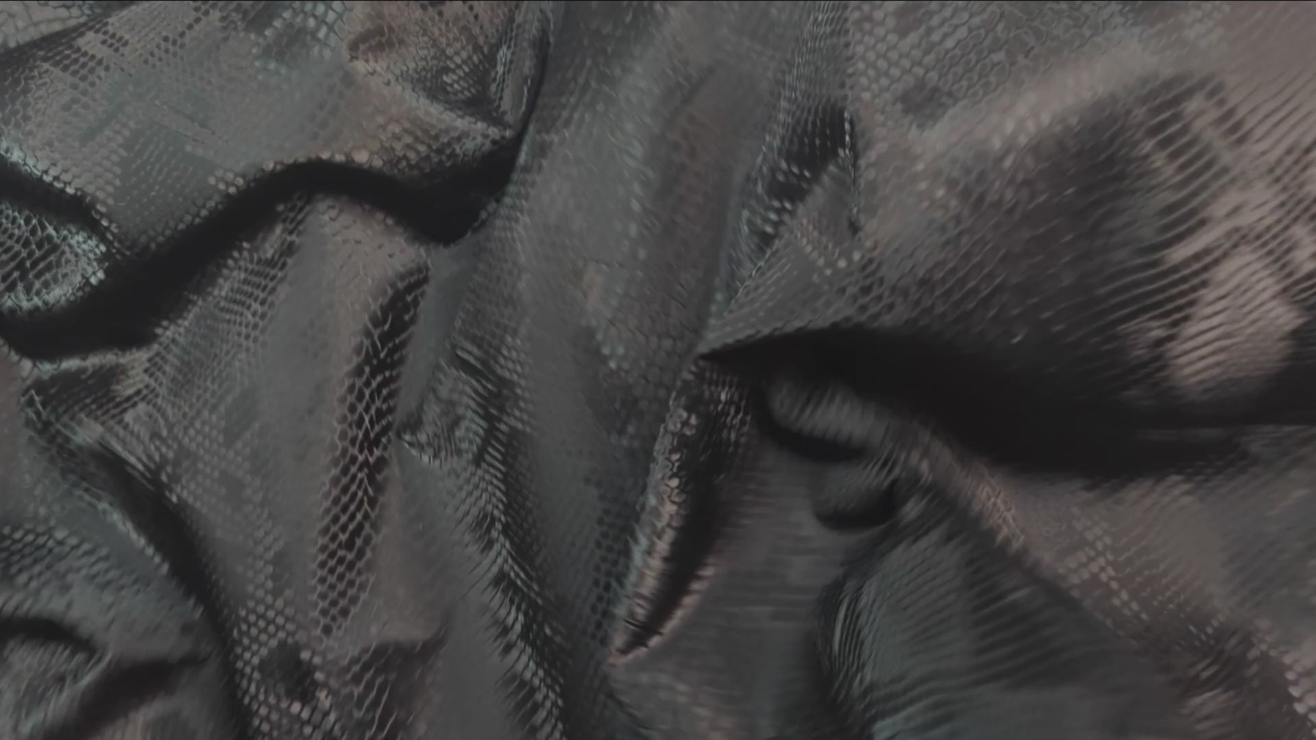 Stretch Fabric, Shiny Snake Print, Black